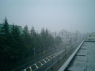 0329雪.jpg